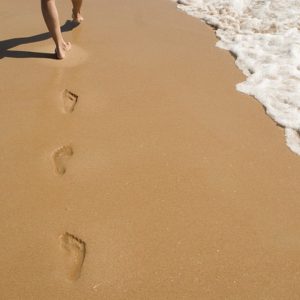 A la découverte d'un parcours estival